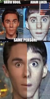 hoggSamePerson