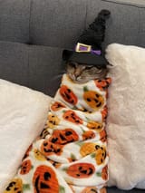 kot wizard pumpkin robe +10 stamina