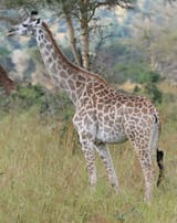 IMG_8804