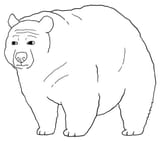 Bearjak