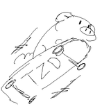 pigger skateboard tzd