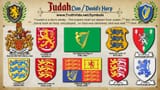 JudahDavid-1-1024x576