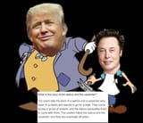 Walrusandthecarpenter334