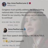 fake maga