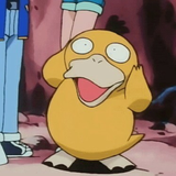 psyduck