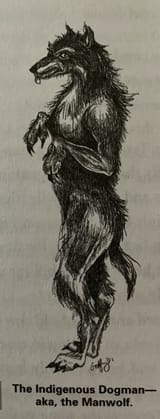 Cryptid_-_Dogman_-_Godfrey.width-500