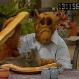alf-cat-sandwich-1063081915