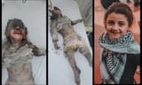Israel palestinain gril
