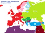 content-what-would-a-map-look-like-if-the-lines-were-determined-by-dna-1