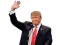 tiny-Trump-waves