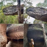 cave-in-thailand-looks-like-a-giant-petrified-snake-v0-jw8smdtryohc1