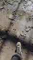 Ukrainian forces struck a Russian troop position in Toretsk with HIMARS GMLRS. 06-07-2025 HD_thumb.jpg
