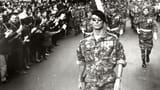 battle of algiers 2