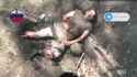 dead hohols 4721_thumb.jpg