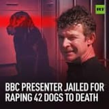 dog fucker1