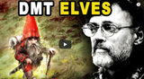 Screenshot 2025-07-06 at 06-03-58 What the DMT Entities Showed Terence McKenna Will Change How You See Reality - YouTube