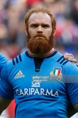 Ginger Italian