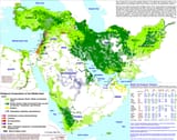 mid-east-religion