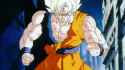 Dragon Ball Z SSJ Gokus Ultimate Kamehameha Against LSSJ Broly R_1_thumb.jpg