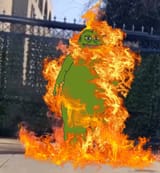 burn-groyper