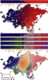 Genetic_distances_Eurasian_West_Asian_East_Asian