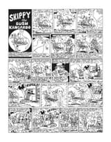 070_TCT_Skippy