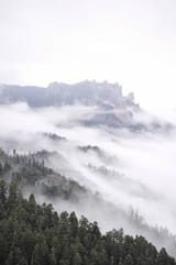 IMG_8889