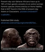 1747382010675389