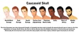 Caucasian race