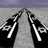 idf coffins