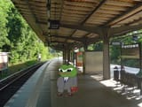 45650