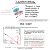 lewontin&#039;s fallacy
