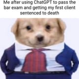 Lawyer Dog AI