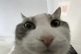 1747453248473660