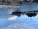 IMG_2902