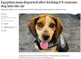 mudslime_kicks_beagle