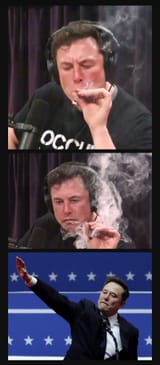 evolution
