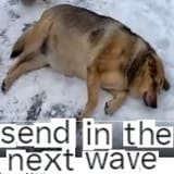 1730754951322024