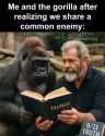 MelGibson Truth_thumb.jpg
