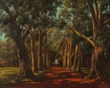 Marthinus Johannes de Jongh (Amsterdam, Kingdom of the Netherlands 1885-1942 Bloemfontein, Province of the Orange Free State, Union of South Africa) An arched woodland, South Africa - Oil on canvas