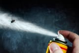 bug spray
