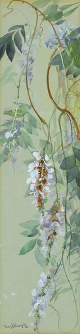 Franz Albert Bischoff (Steinschönau, Leitmeritzer Kreis, Kingdom of Bohemia, Empire of Austria 1864-1929 South Pasadena, California, U.S.A.) Wisteria - Gouache and watercolor on paper