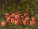 Levi Wells Prentice (Harrisburg, New York, U.S.A. 1851-1935 Germantown, Pennsylvania, U.S.A.) Peaches - Oil on canvas 1899