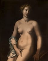 Leonardo Grazia (Pistoia, Republic of Florence 1502-1548 Naples, Kingdom of Naples, Spanish Empire) Venere - Tempera su tavola