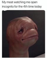 meat