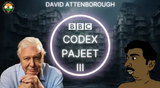 codex