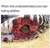 217466