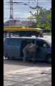 forced conscription of ukrainian into van_thumb.jpg