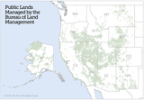 BLM_map