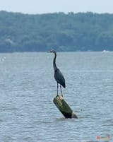 images - 2025-07-06T164748.928